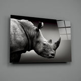 Rhino Glass Wall Art.