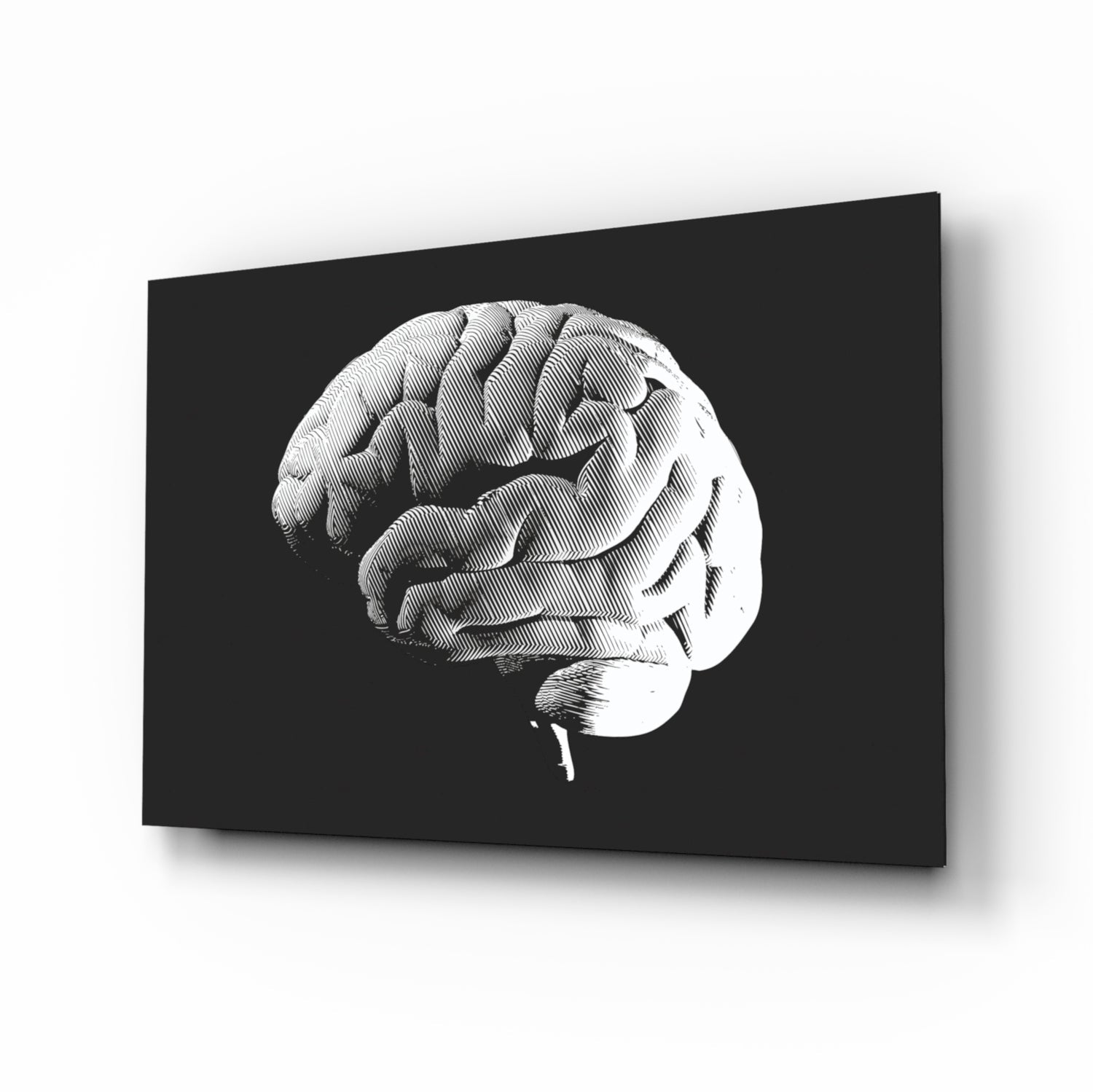 Brain Glass Wall Art.