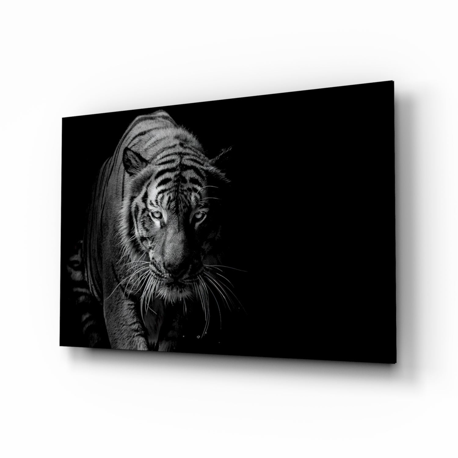 Tiger Glass Wall Art.