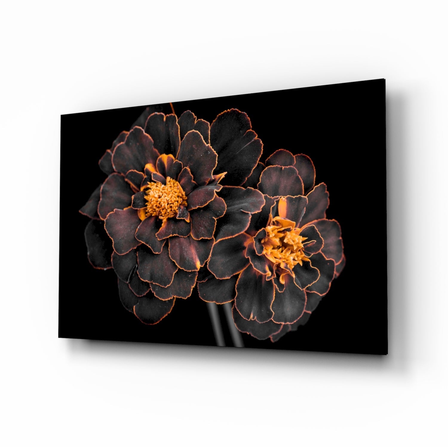 Brown Flower Glass Wall Art.