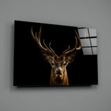 Deer Glass Wall Art.