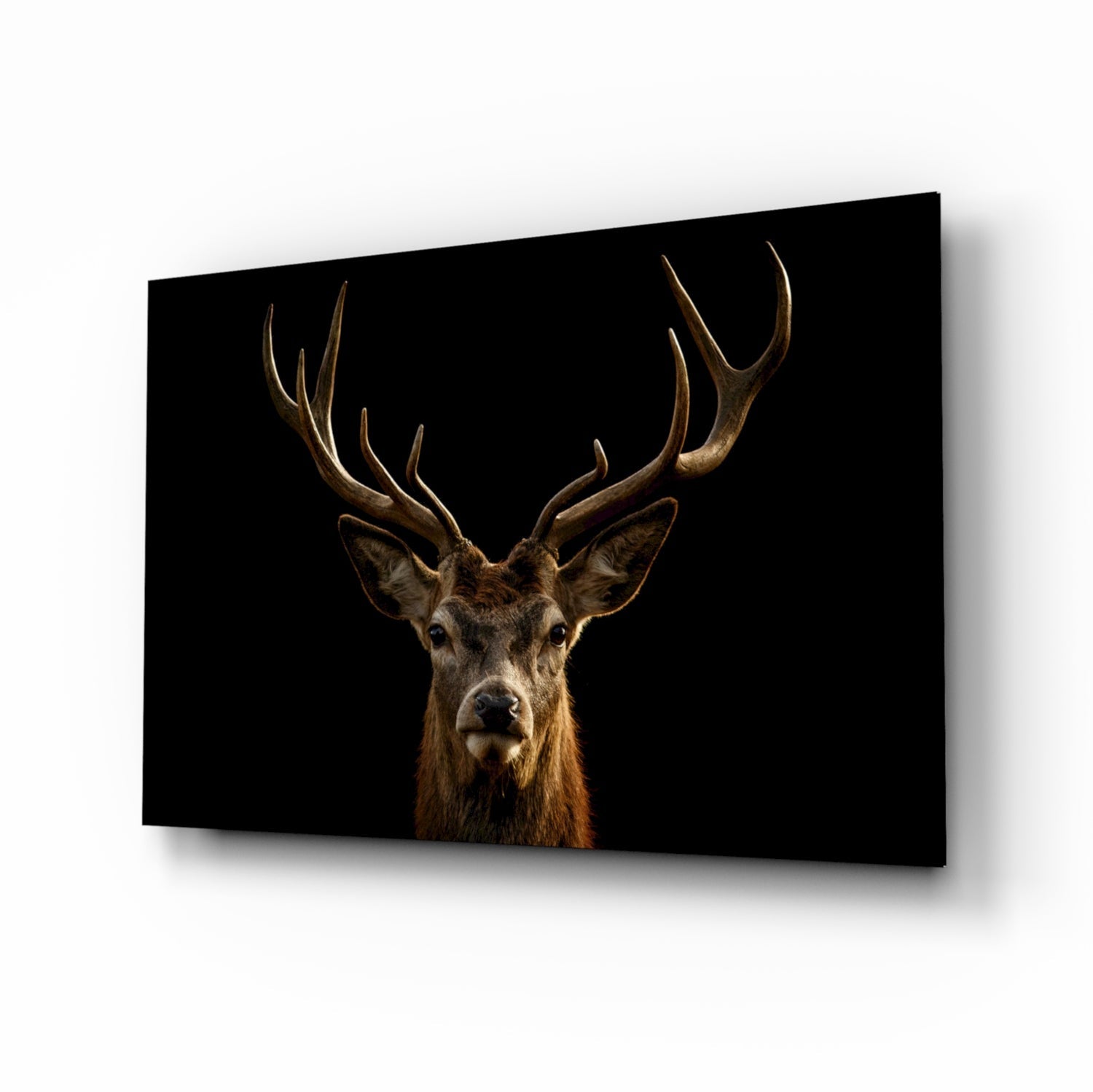 Deer Glass Wall Art.