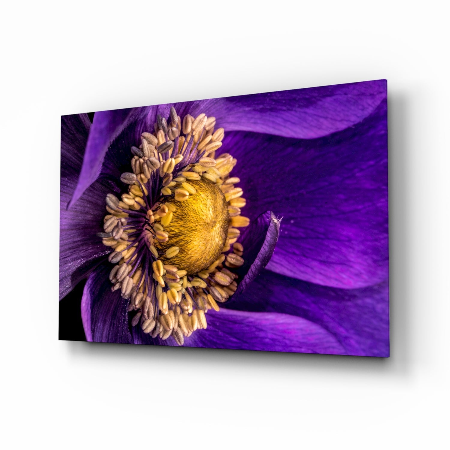 Yellow Flower Glass Wall Art.