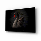 Black Swan Glass Wall Art.