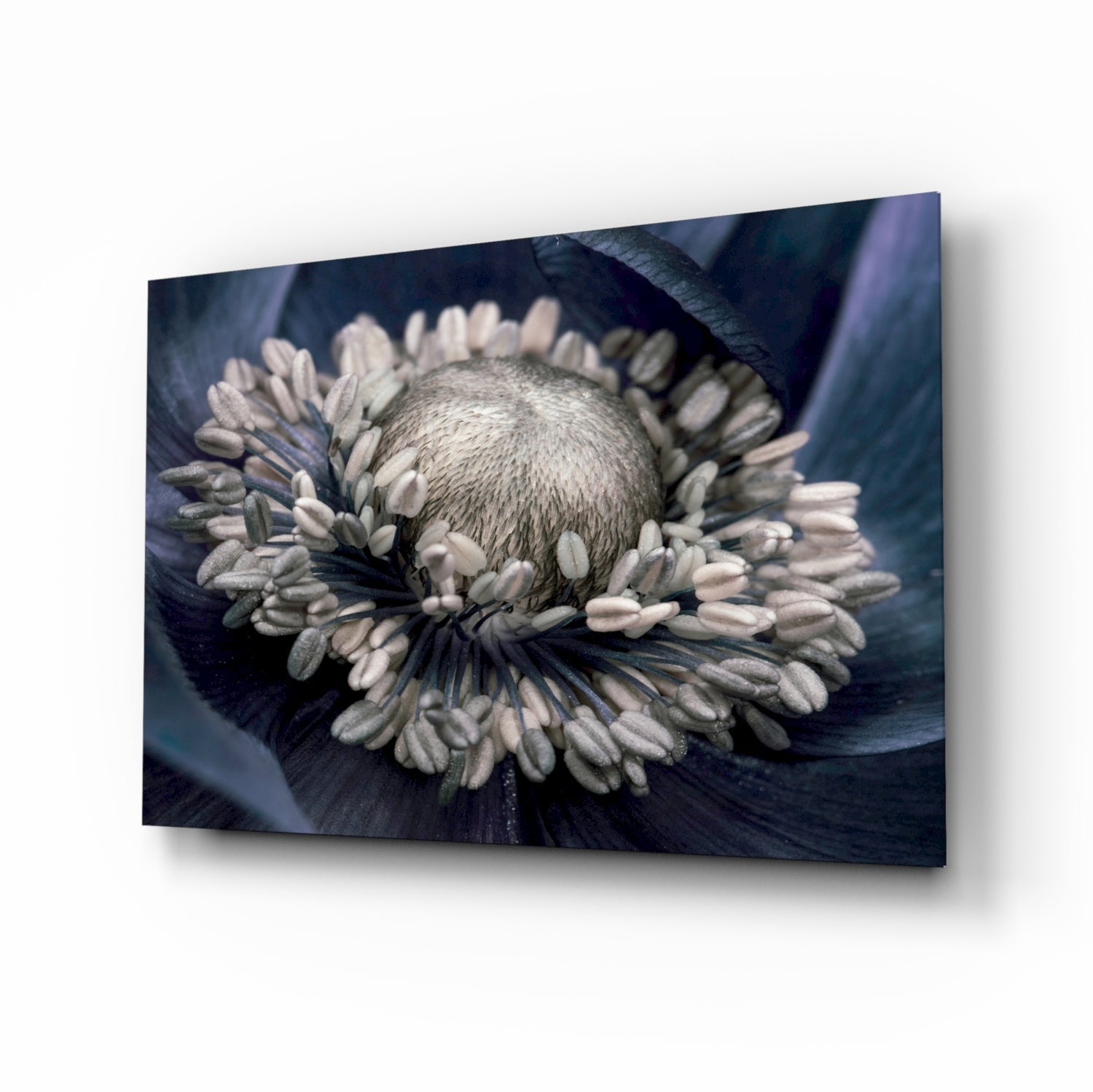 Gray Flower Glass Wall Art.