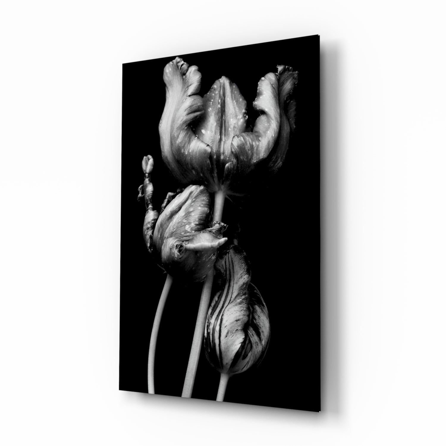 Black and White Flowers Glass Wall Art.