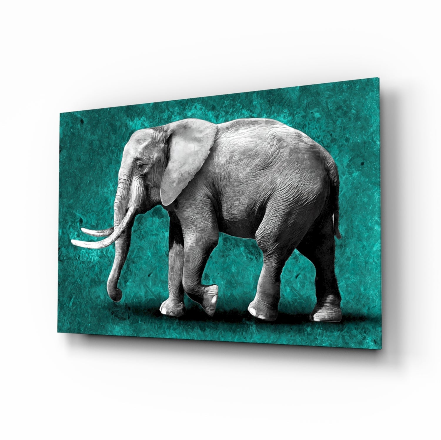 Elephant Glass Wall Art.