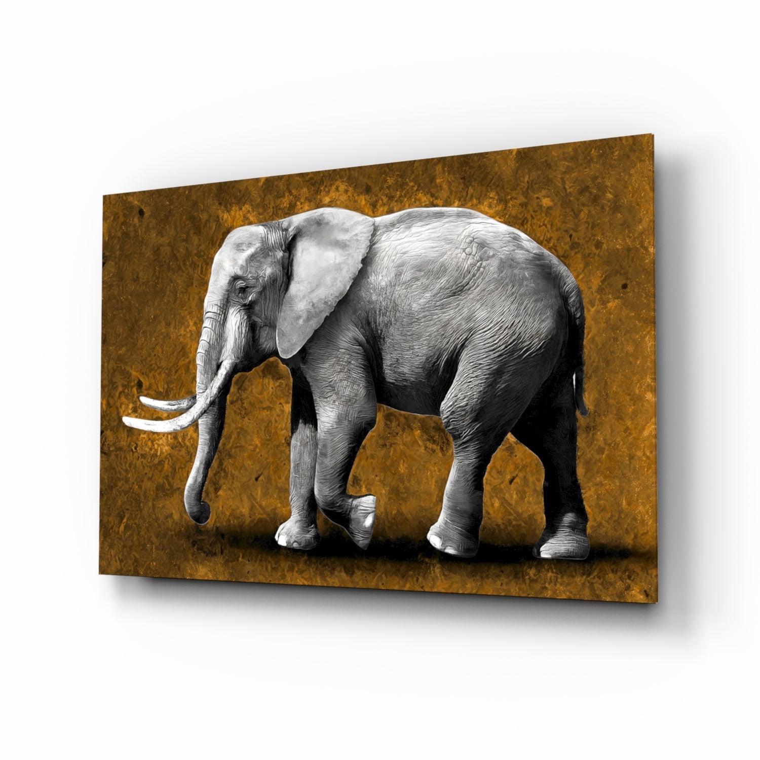 Elephant Glass Wall Art.