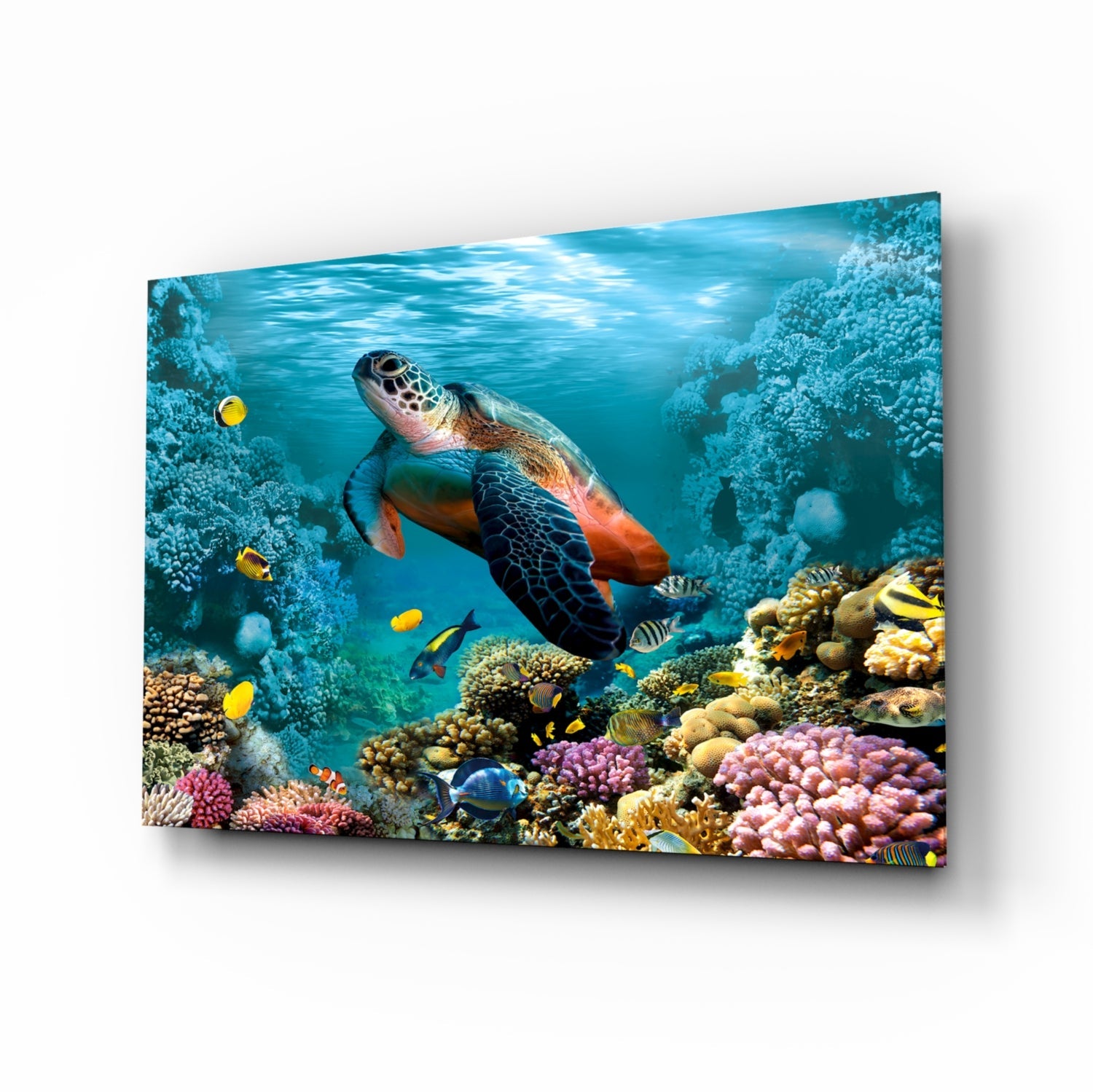 Underworld Glass Wall Art.