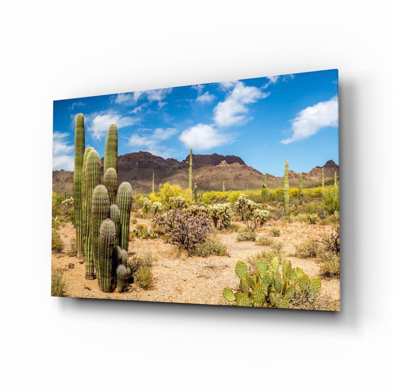 Cactuses Glass Wall Art.