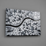 Forest Landscape Glass Wall Art.