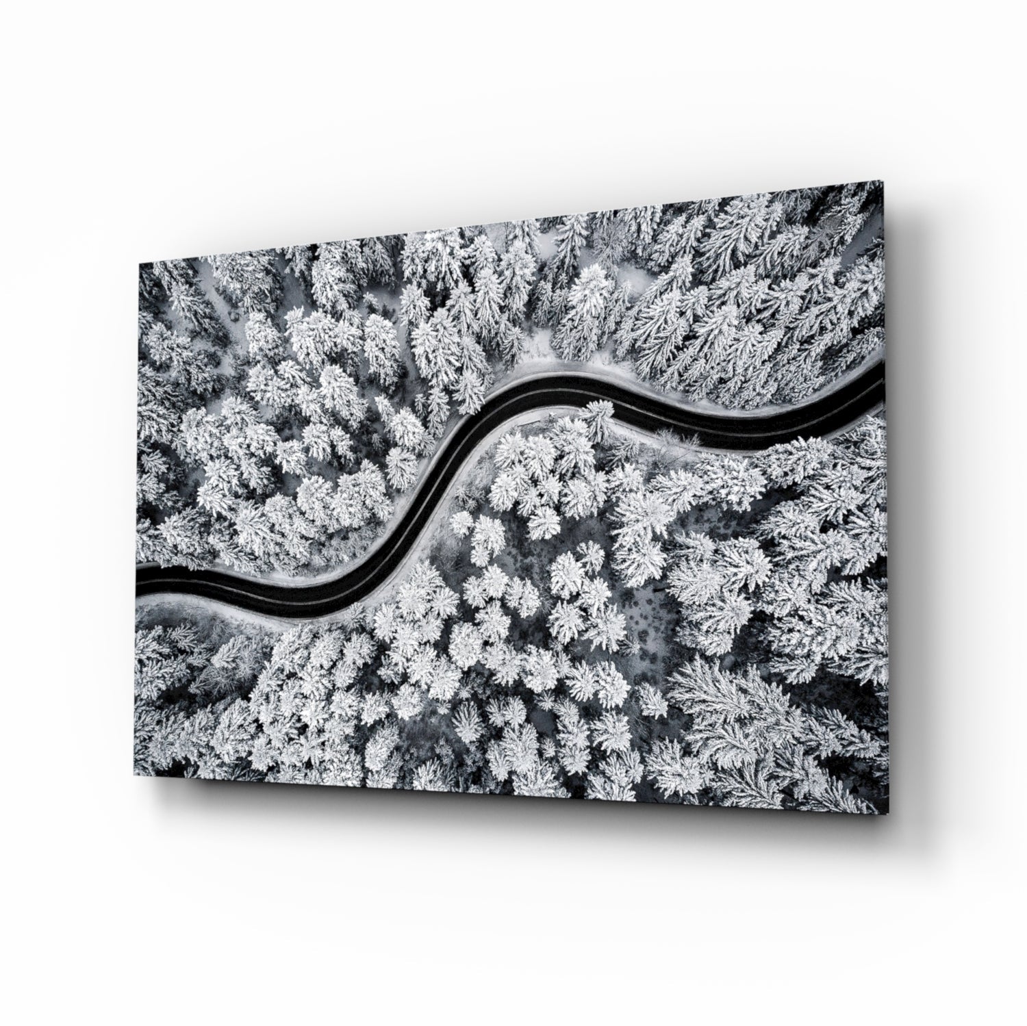 Forest Landscape Glass Wall Art.