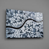 Forest Landscape Glass Wall Art.