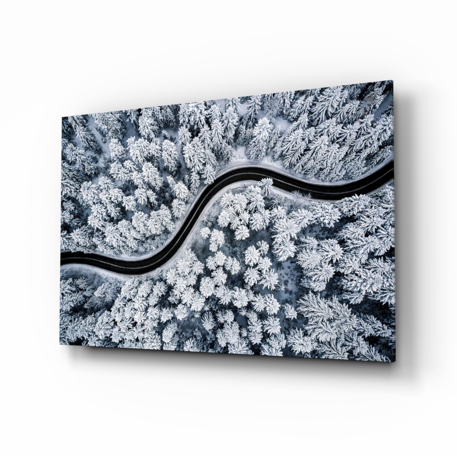 Forest Landscape Glass Wall Art.