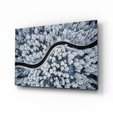 Forest Landscape Glass Wall Art.