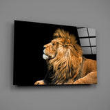 Lion Glass Wall Art.