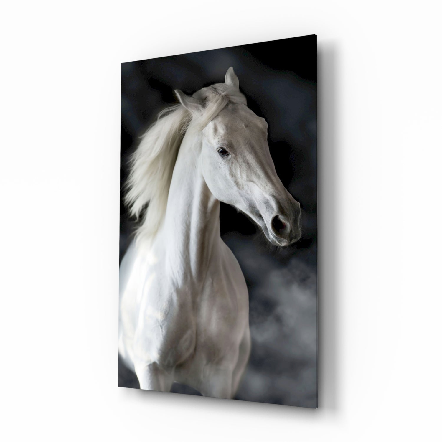 Horse Glass Wall Art.