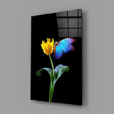 Abstract Art Glass Wall Art.