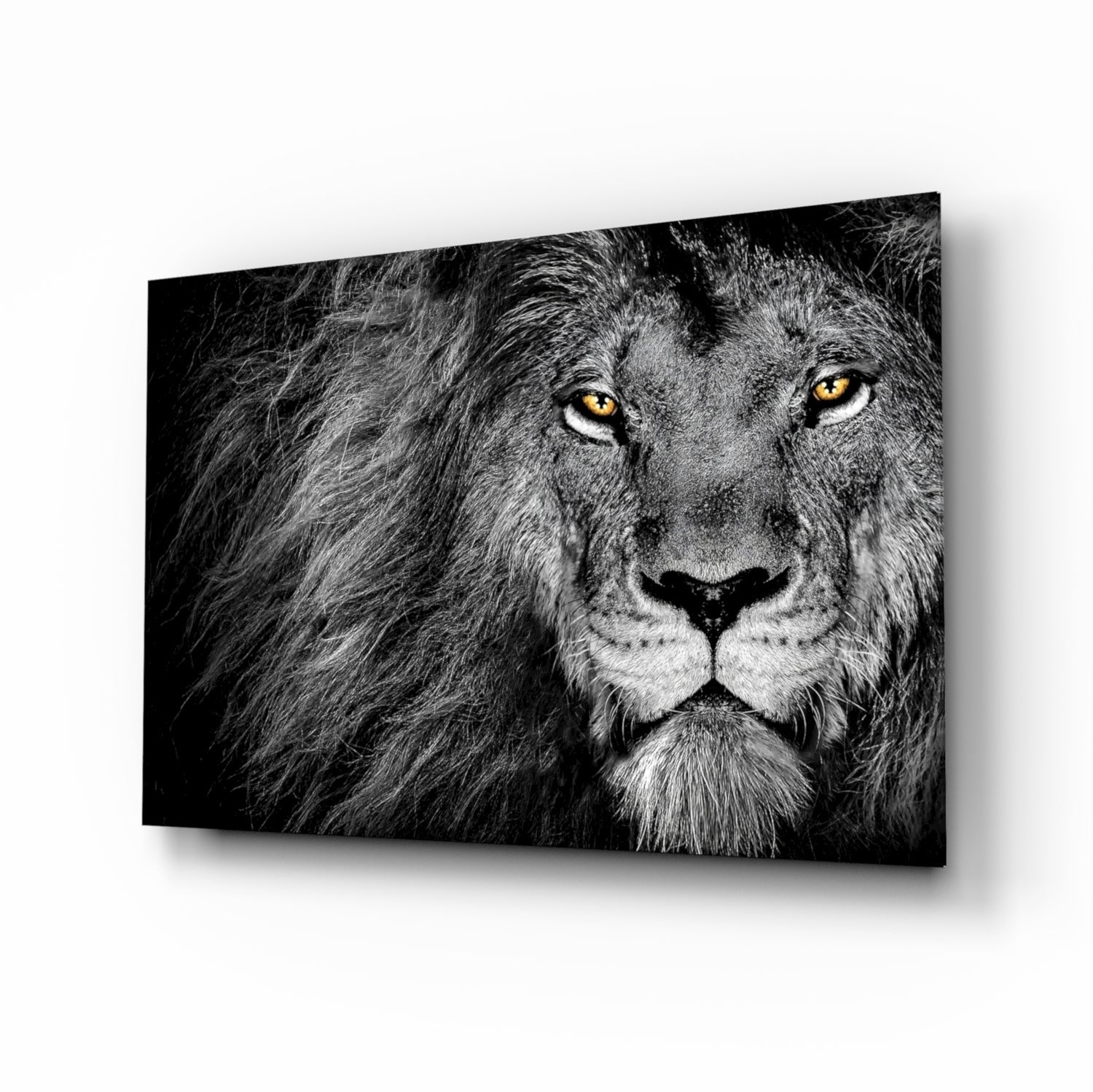 Lion Glass Wall Art.