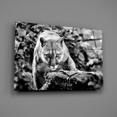 Puma Glass Wall Art.