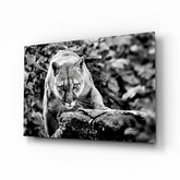 Puma Glass Wall Art.