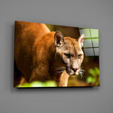 Puma Glass Wall Art.