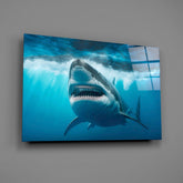Shark Glass Wall Art.