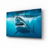 Shark Glass Wall Art.