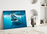 Shark Glass Wall Art.