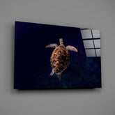 Tortoise Glass Wall Art.