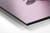 Brushed Aluminium Dibond Wall Art