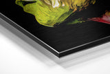 Brushed Aluminium Dibond Wall Art