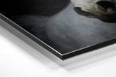Brushed Aluminium Dibond Wall Art