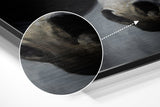 Brushed Aluminium Dibond Wall Art