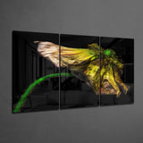 Glass Wall Art