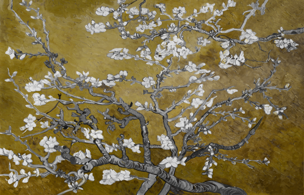 White Flowers Glass Wall Art