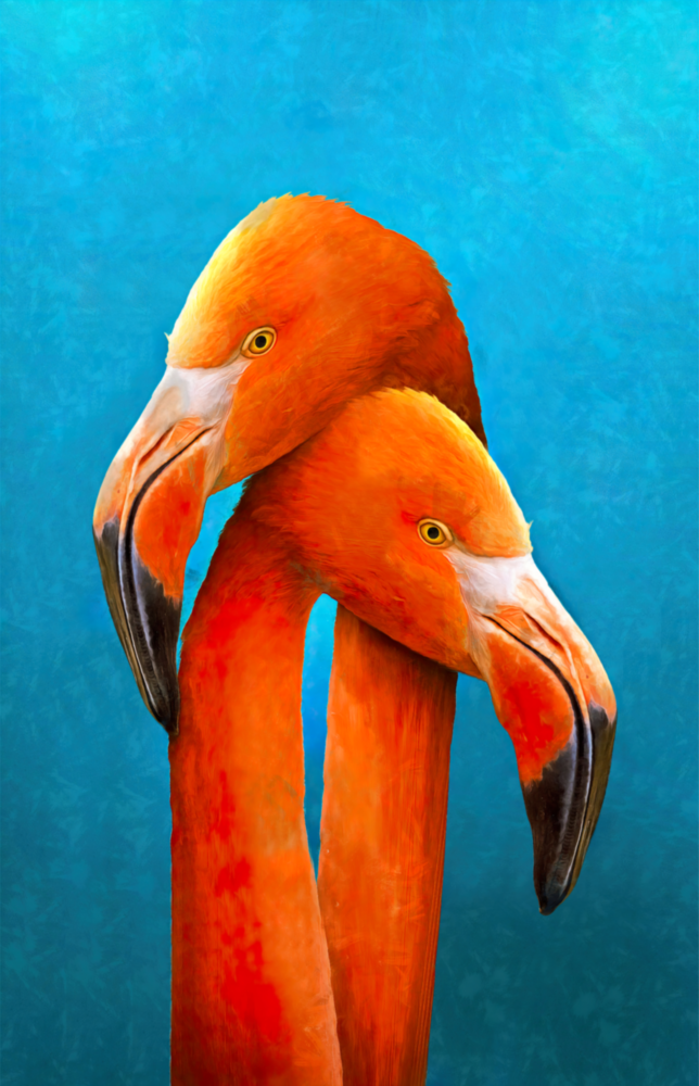Flamingos Glass Wall Art