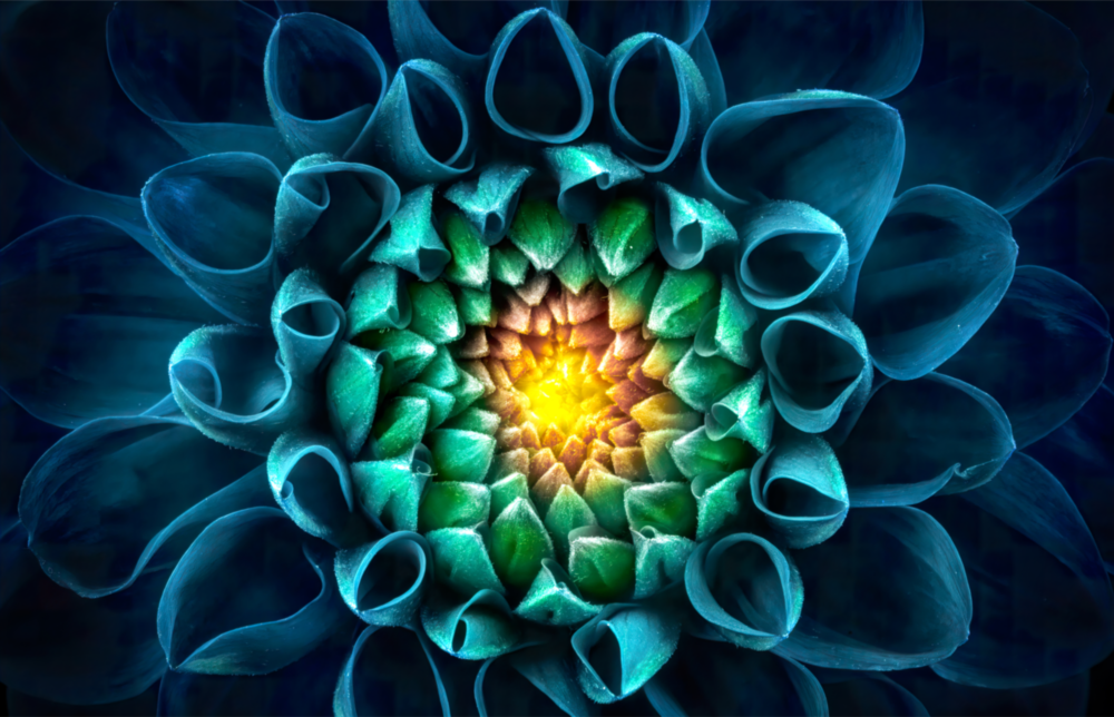 Flower Glass Wall Art