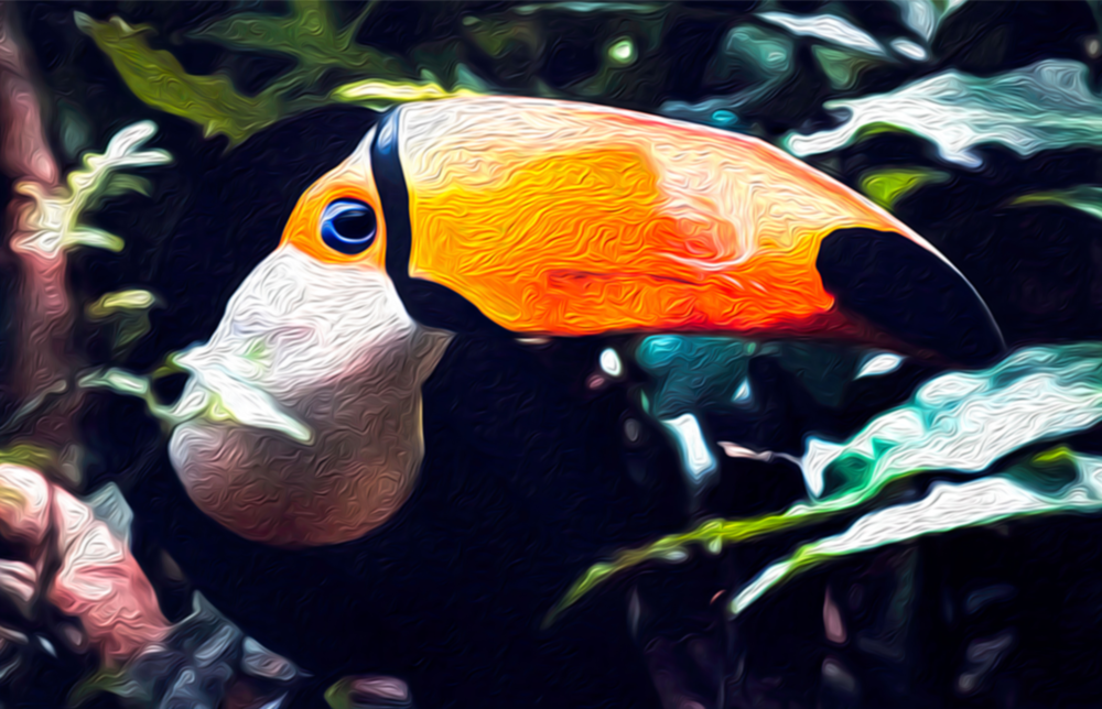 Toco Toucan Glass Wall Art