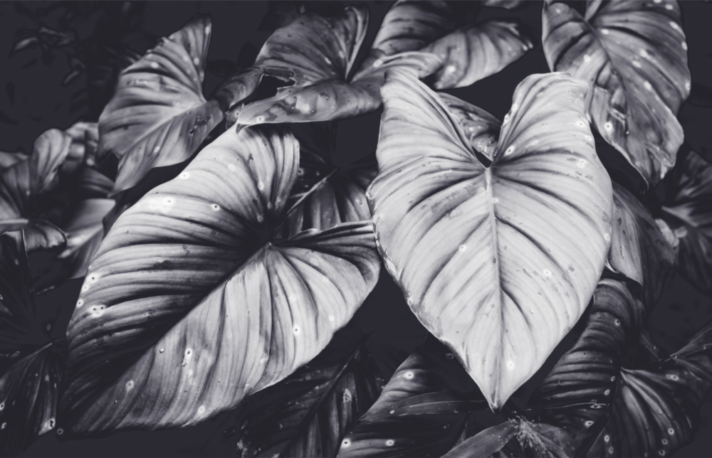 Leaves Glass Wall Art