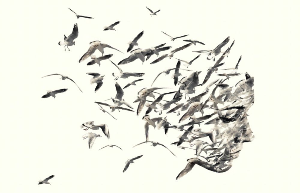 Free Thoughts Glass Wall Art