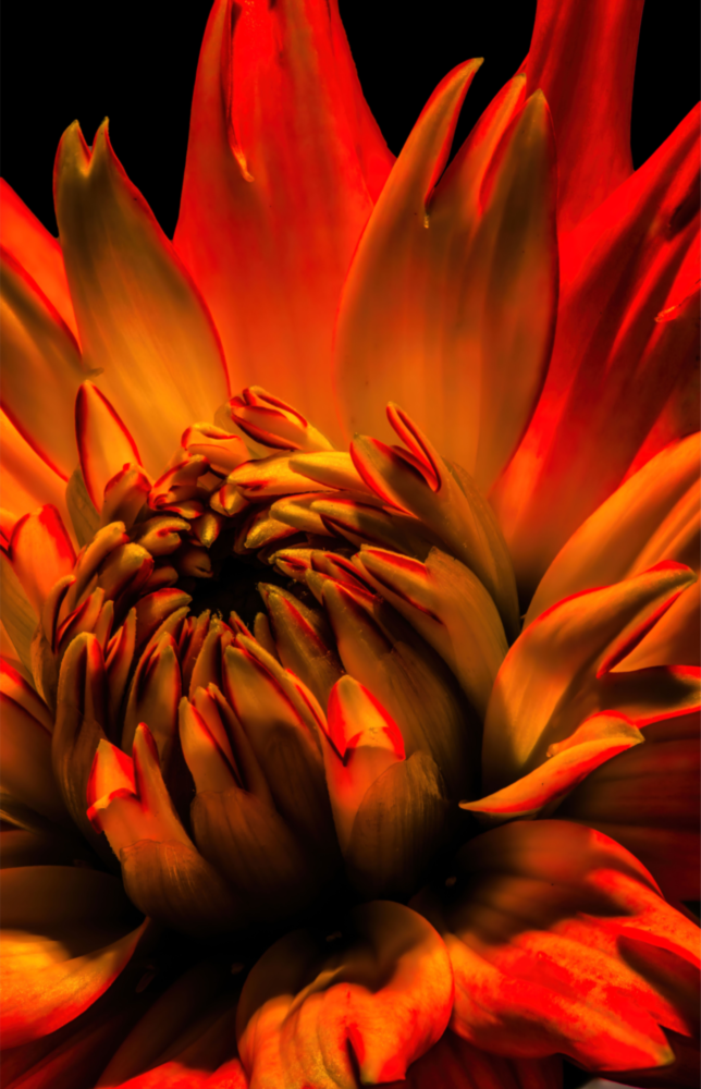 Flower Glass Wall Art