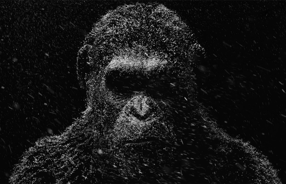 Gorilla Glass Wall Art