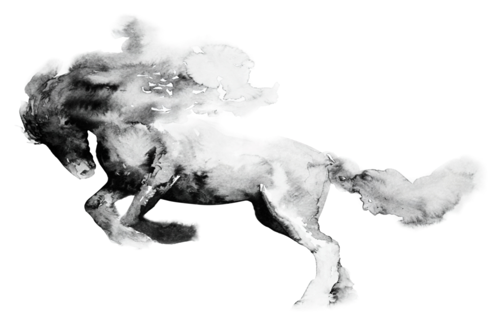 Horse Glass Wall Art