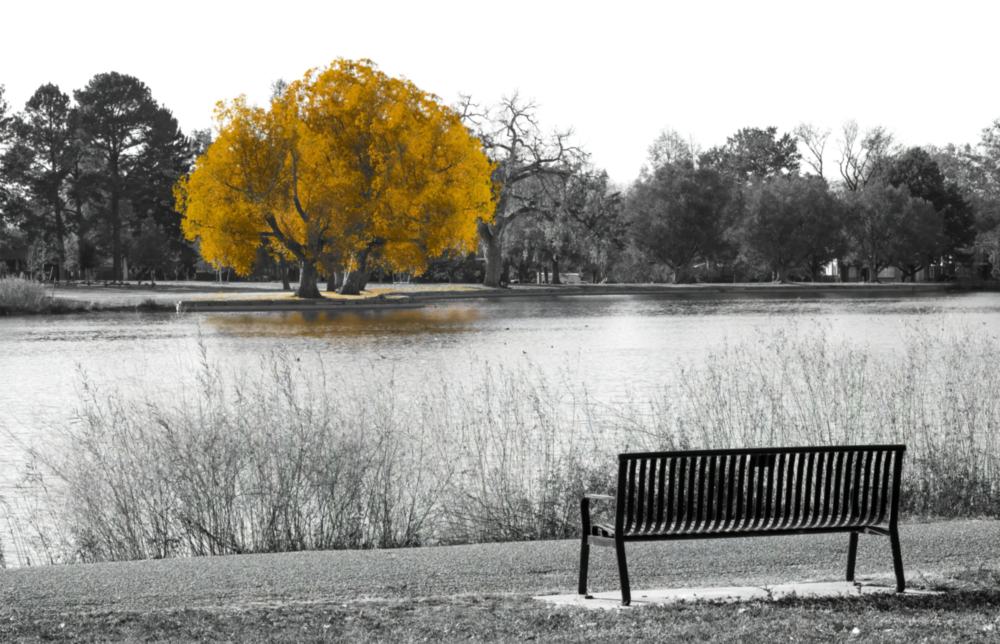 Yellow Tree Glass Wall Art