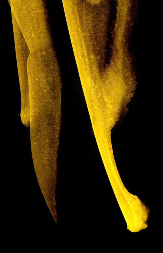 Yellow Story Glass Wall Art