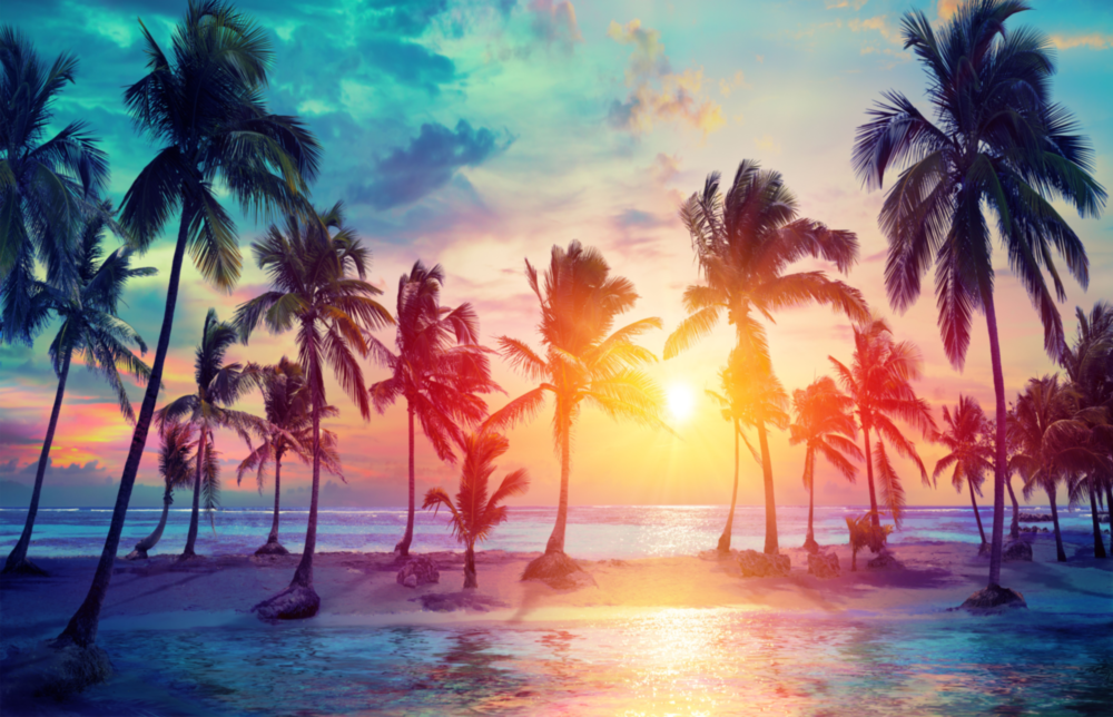 Sunset and Palms Glass Art