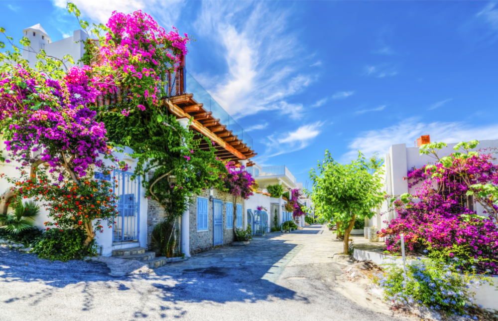 Aegean Beauties Glass Wall Art