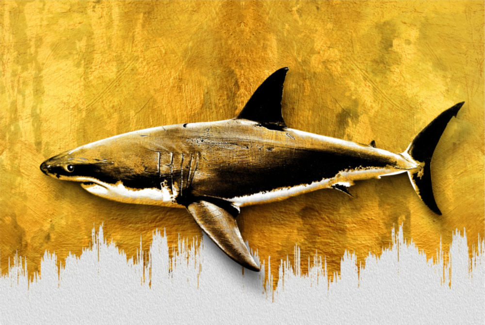 Shark Glass Wall Art