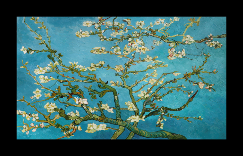 Turquoise Almond Flowers Glass Wall Art